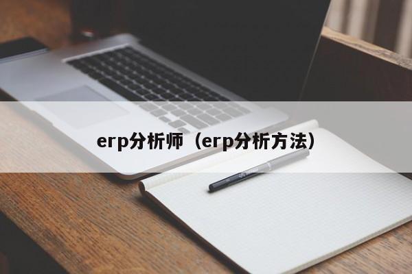 erp分析师（erp分析方法）